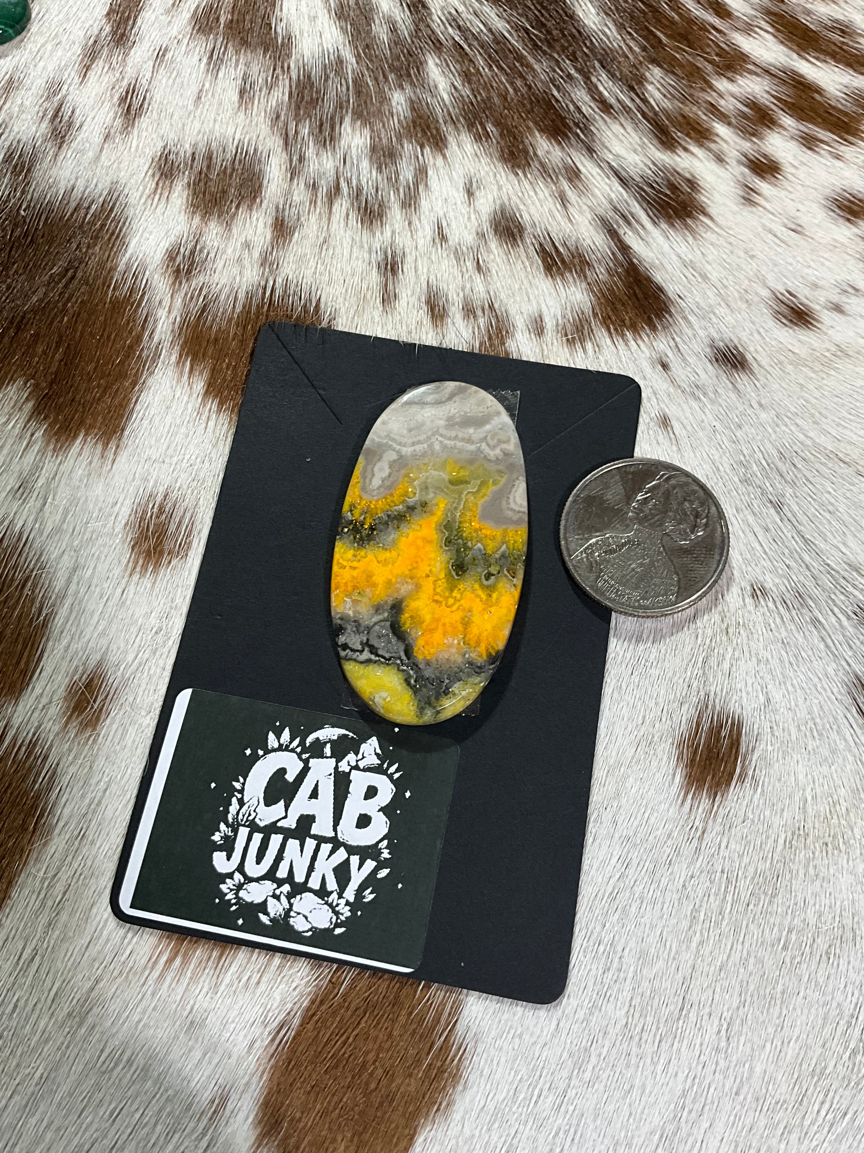 Bumblebee Jasper